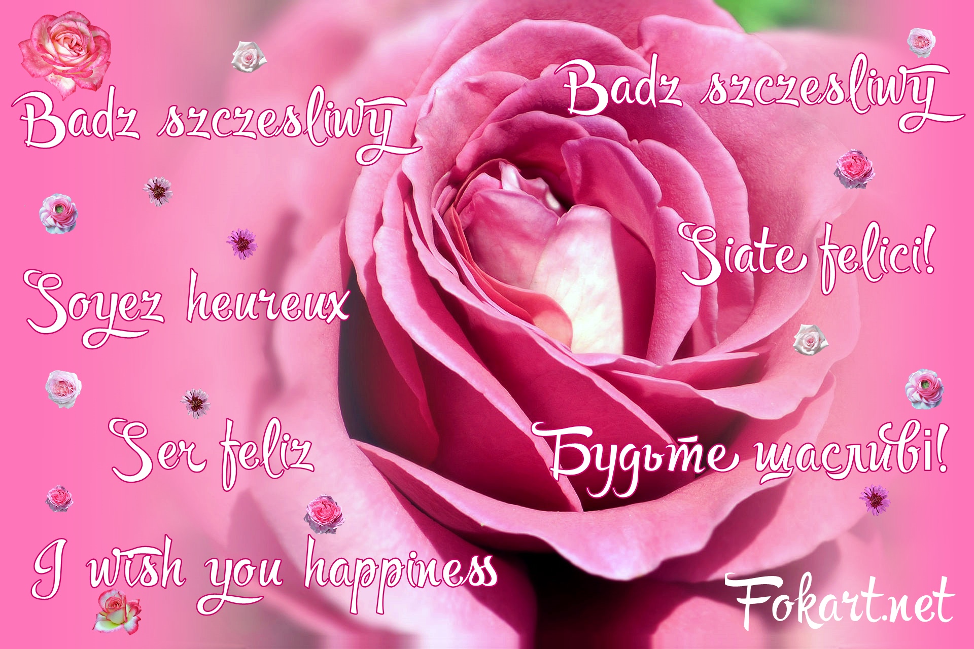 Rose, greeting card with wishes of happiness