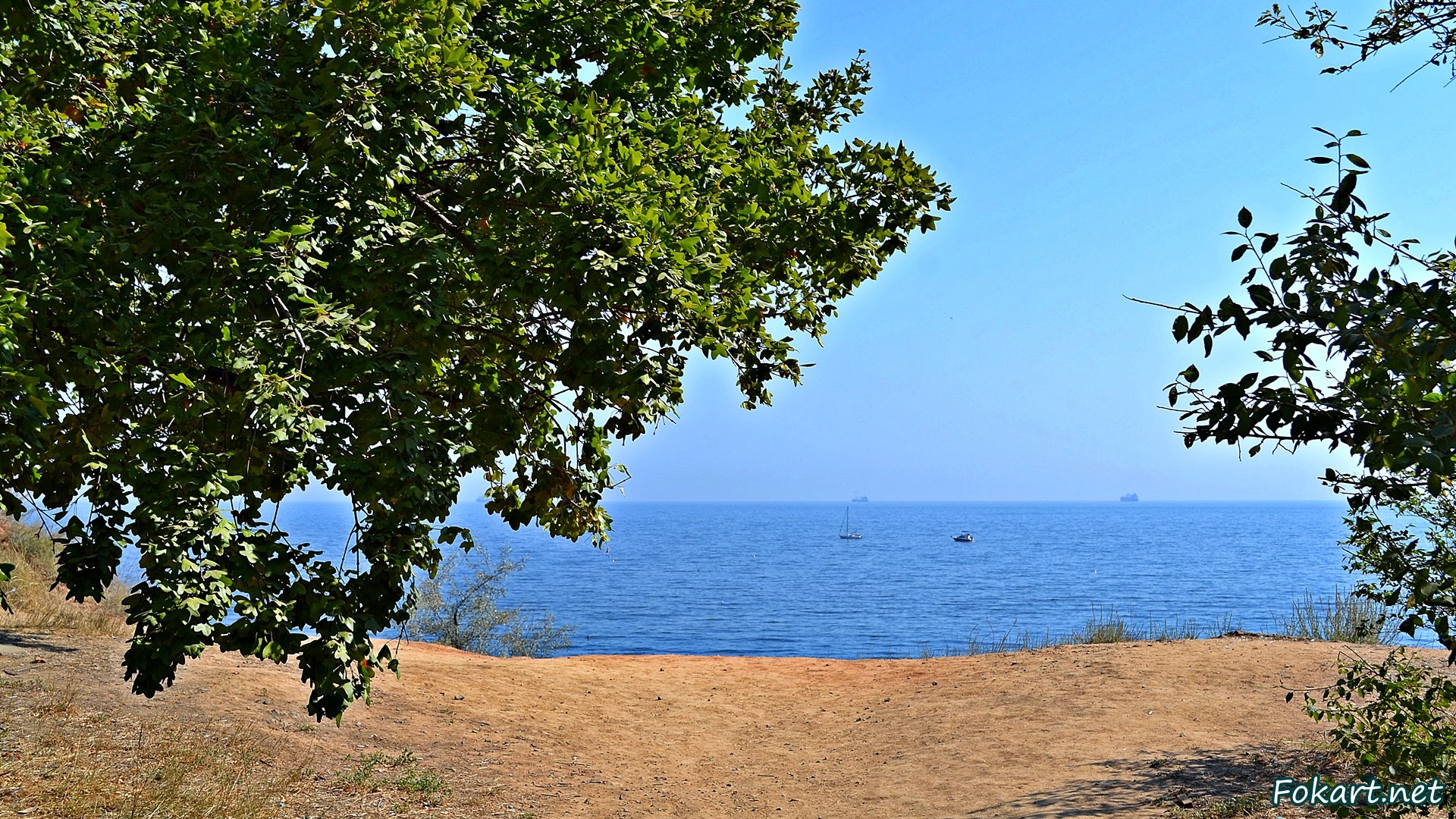 Ветки над морем, фото, морской пейзаж
