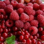 Ягоды красной смородины и малины