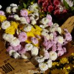 Букеты из мелких хризантем - белых, жёлтых, розовых