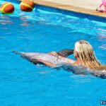 Дельфин плывет на спине и катает девушку
