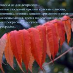 Осень не для депрессий, картинка со словами