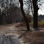 В парке поздней осенью в конце ноября