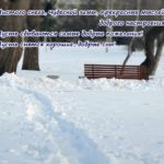 Чистый белый снег в парке. Картинка на экран с пожеланиями