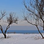 Сухие травы в снегу, голые деревья и вид на море