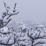 Сильный снегопад над посёлком и заснеженные деревья. Вид с высоты