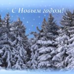 Ёлочки в снегу, новогодняя открытка