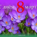 Сиреневые крокусы, открытка 8 марта