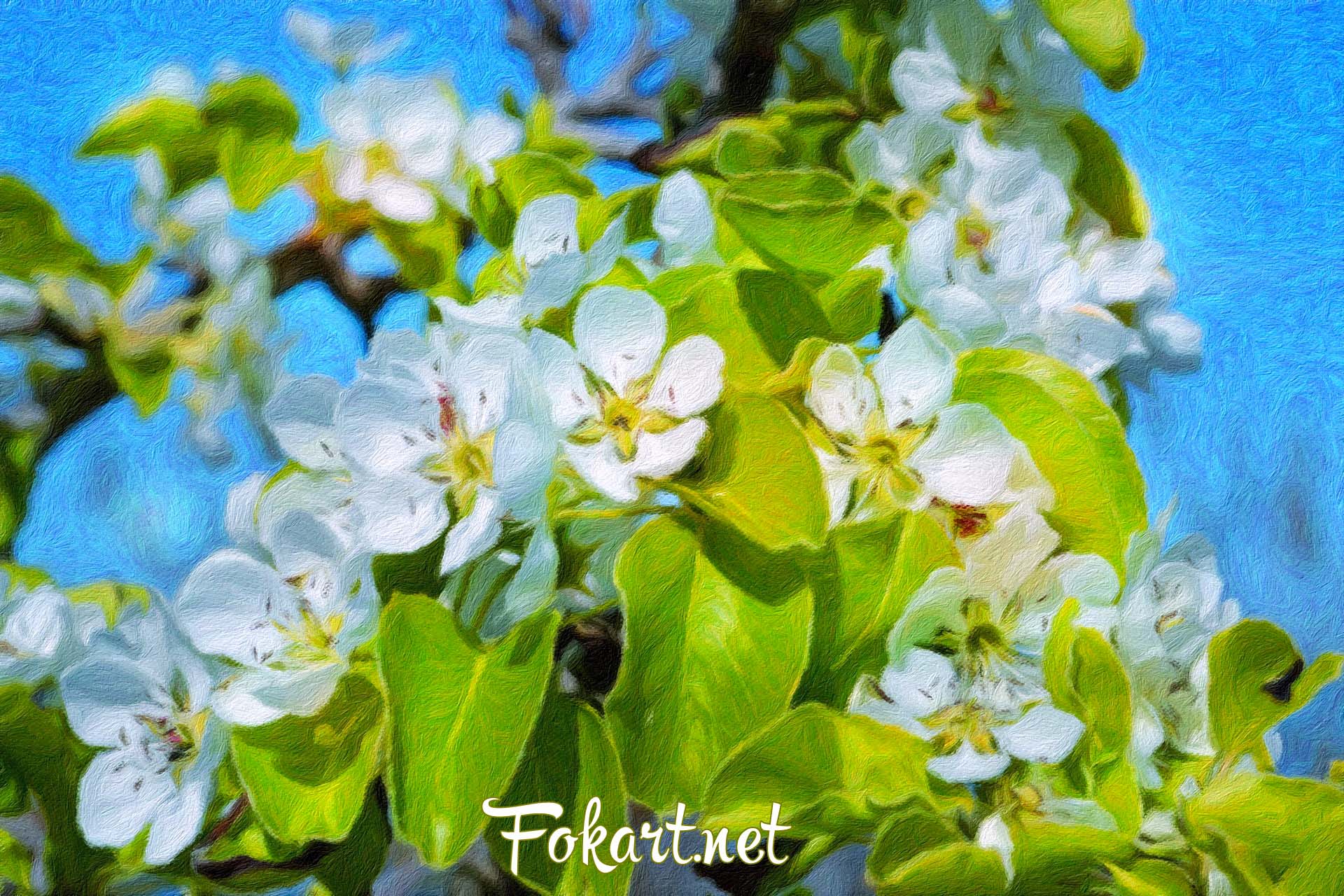Цветущая веточка груши, фото-картина